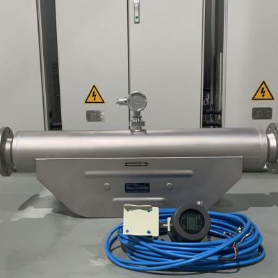 מדי זרימת מסה של קוריוליס למדידת זרימה פטרוכימית